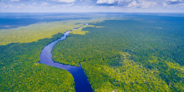 Accordo tra Brasile e Nasa per salvare l’Amazzonia