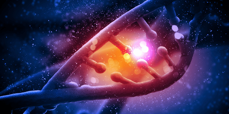 Radiazioni ionizzanti ecco come rompono il Dna