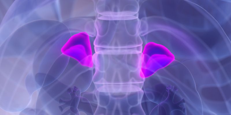 Gastroenterologia un microbiota sano migliora gli esiti di un trapianto di midollo