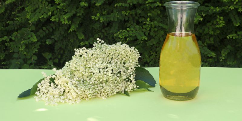 Il sambuco è un antinfiammatorio naturale