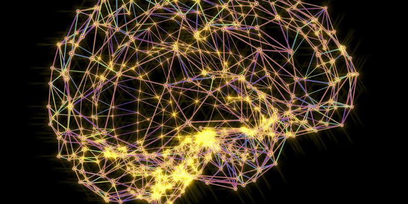 Cervello eseguita la mappatura di tutti i neuroni e altre cellule