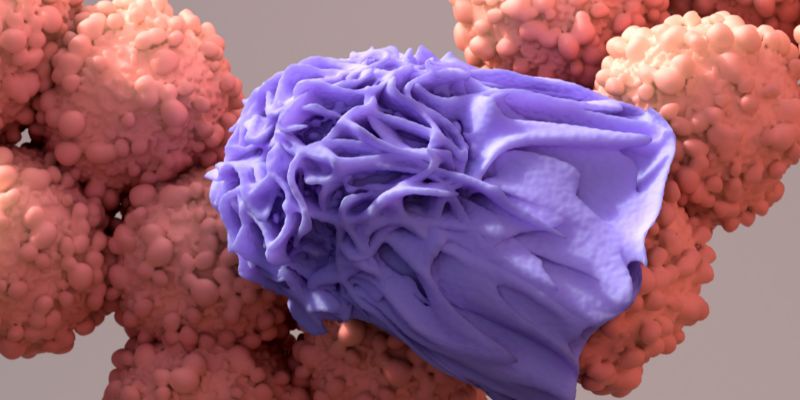 Immunoterapia secondo la medicina di genere funziona meno sulle donne