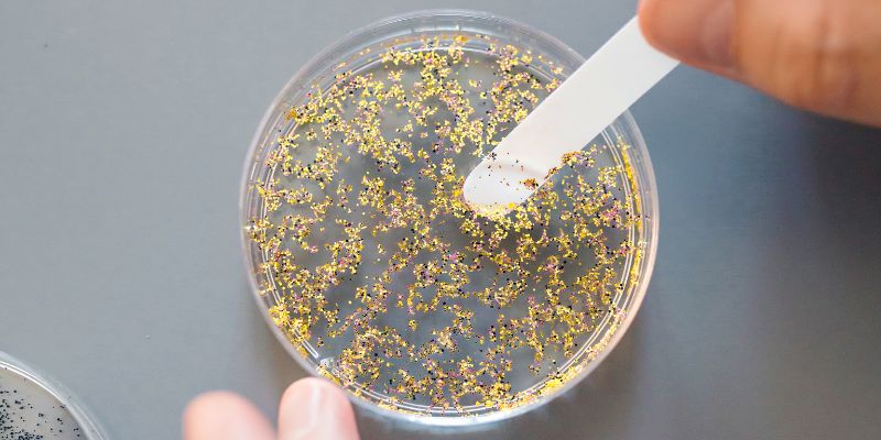 Scoperta sulle nanoplastiche alterano il microambiente osseo umano