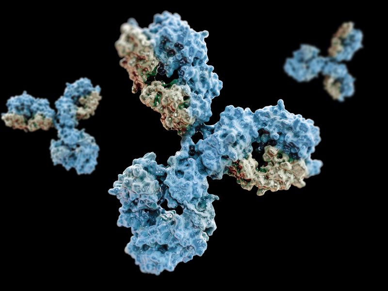 Anticorpi monoclonali: nuova frontiera contro i germi