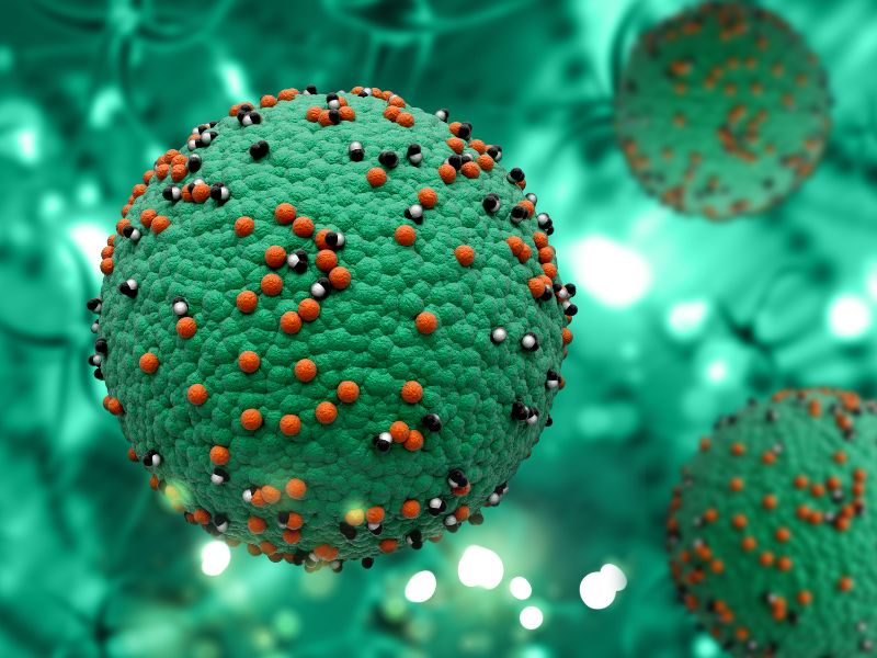 Morbillo, in Italia casi in rapida crescita: 231 da inizio anno