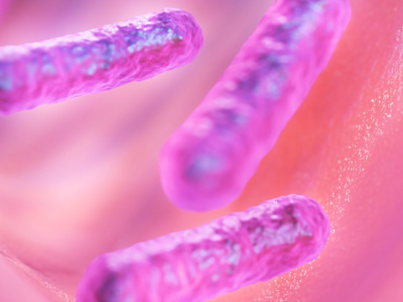 Ameba mangia-cervello: attenzione all'acqua dei lavaggi nasali