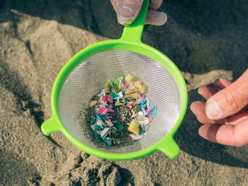 Le microplastiche sono una minaccia per la nostra salute