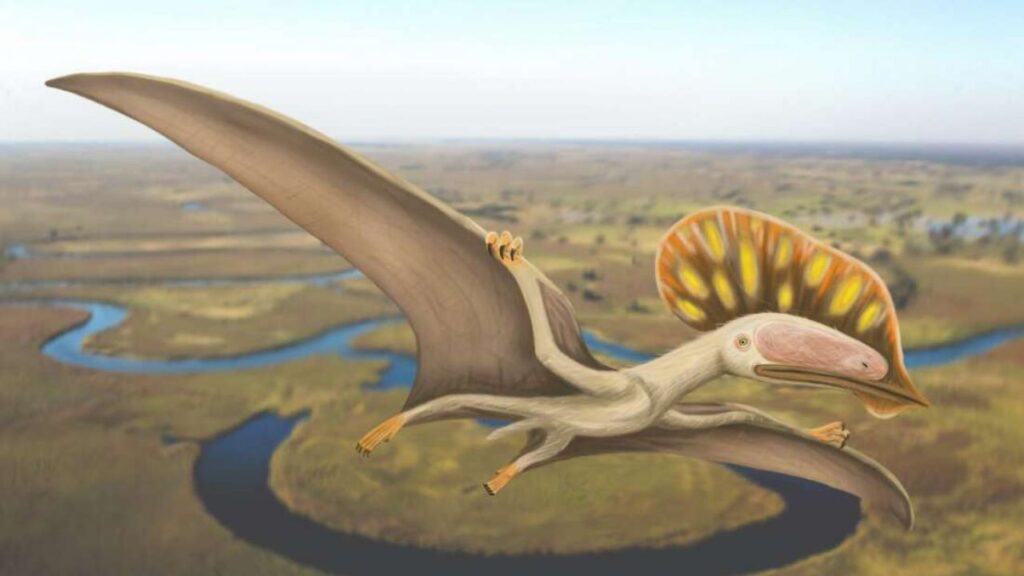 Dinosauro pterosauro