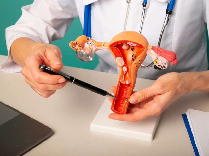 Insufficienza ovarica, nuove speranze per le donne che ne soffrono