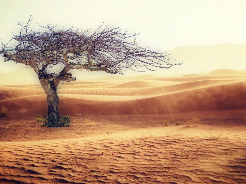Giorni più lunghi: effetto del riscaldamento globale
