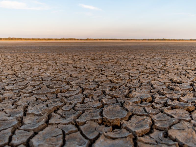 Il Lago di Pergusa è scomparso per colpa dell’uomo
