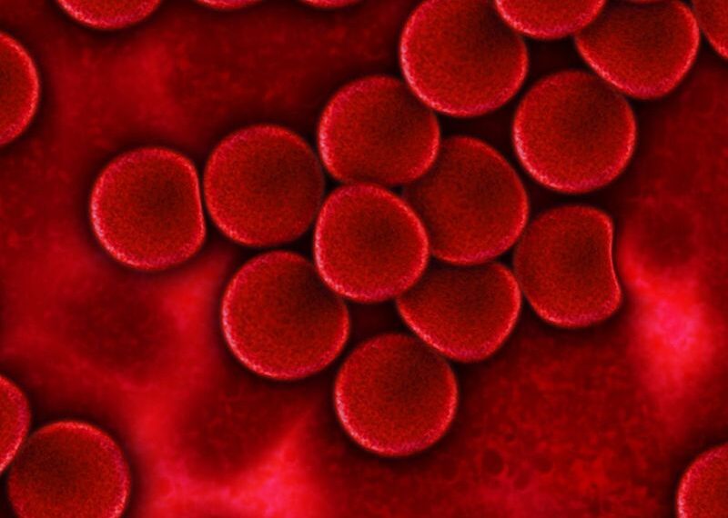 Mieloma multiplo: una tripletta di farmaci aumenta la sopravvivenza