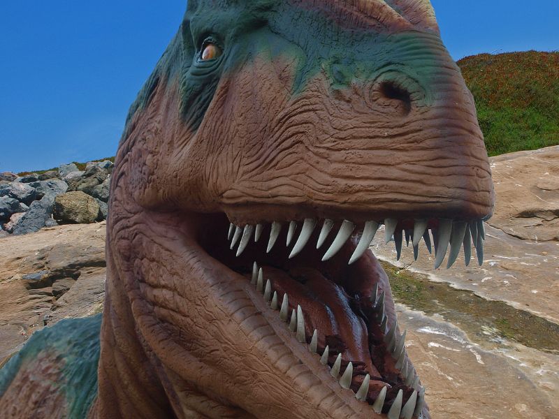 I raggi X svelano l'evoluzione dei mammiferi giurassici
