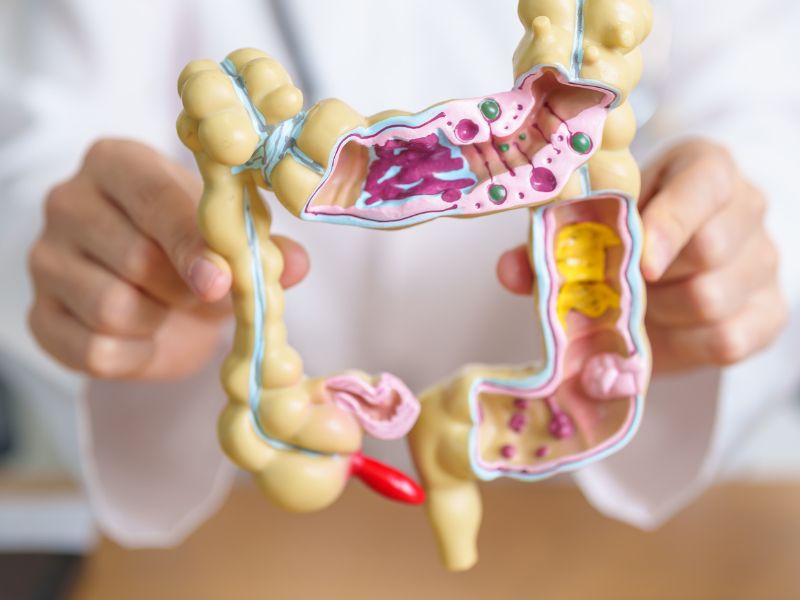 Microbioma intestinale materno: positivo l’impatto sul feto