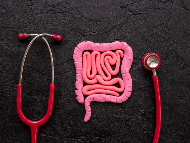 Un parassita intestinale velocizza la guarigione delle ferite