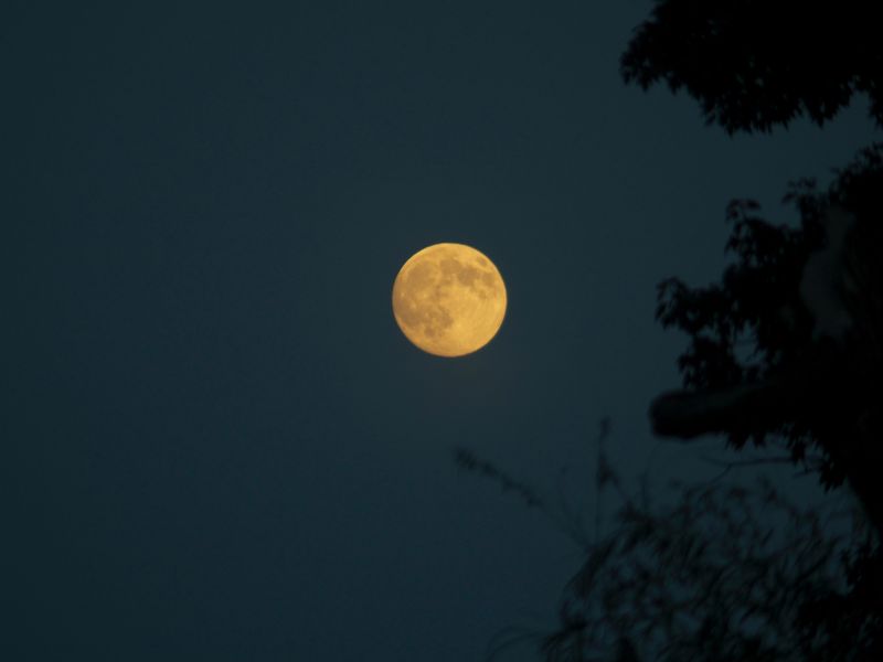 Lunedì 19 agosto la prima Superluna dell’anno: sarà anche Luna Blu