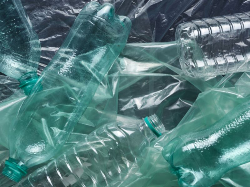 Batteri e plastica: la minaccia invisibile della plastisfera