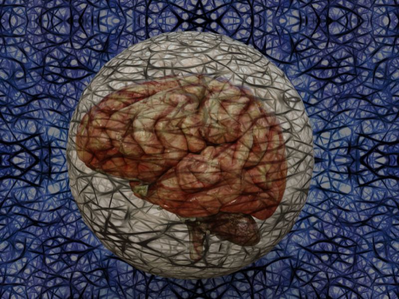 Cervello e istruzione: un rapporto difficile da decifrare