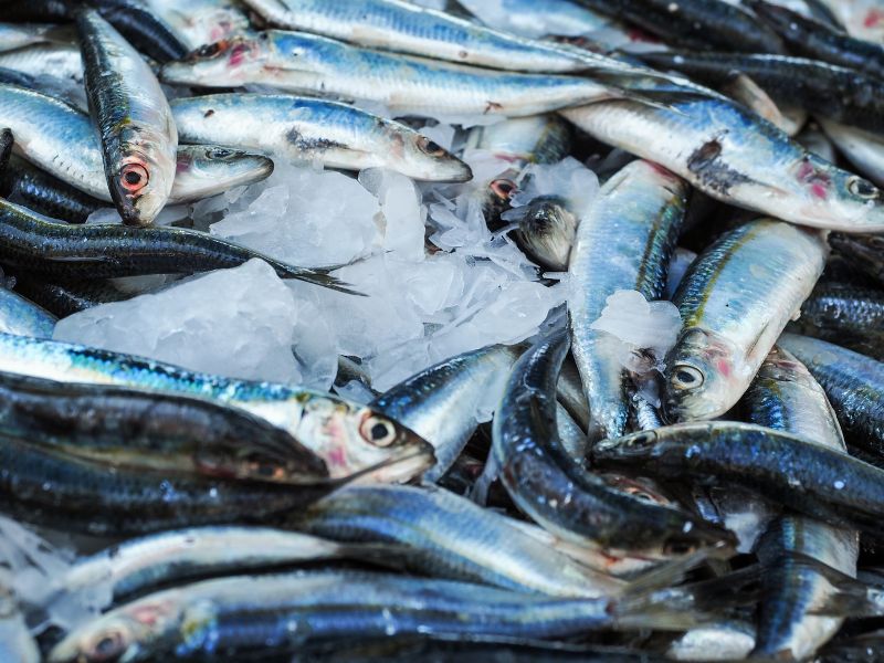 Il mistero della pesca miracolosa di Gesù secondo la Scienza