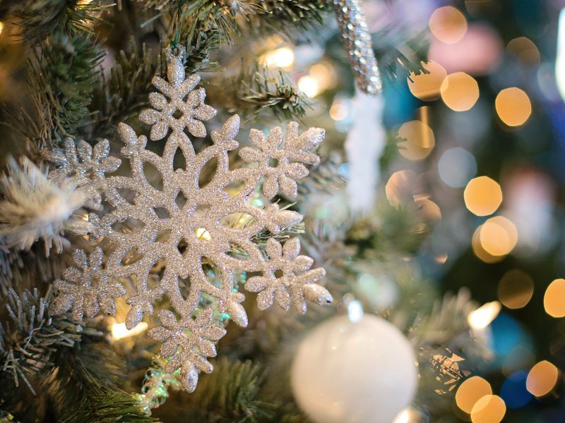 Addobbi natalizi: sotto l’Albero 20mila tonnellate di Co2