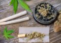 Cannabis e cervello